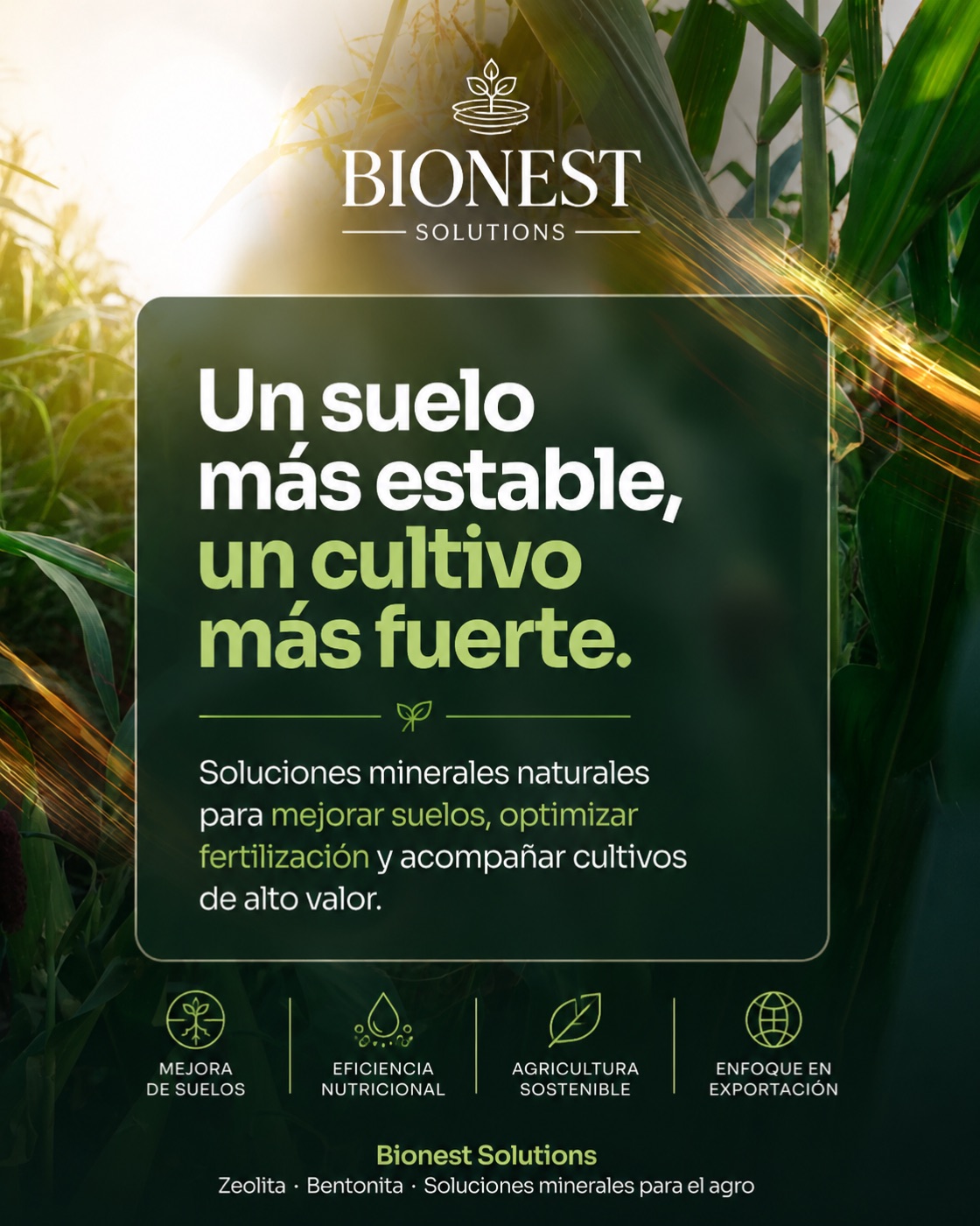 Pieza de redes para una campaña de marca